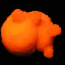 Calcite (Var: Manganoan Calcite), Kutnohorite - image 3