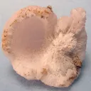 Calcite (Var: Manganoan Calcite), Kutnohorite - image 2