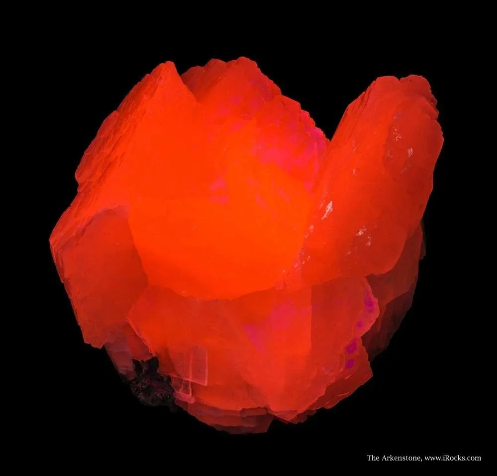 Calcite Var. Manganoan image