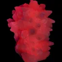 Calcite var Manganoan (fluorescent) - image 2