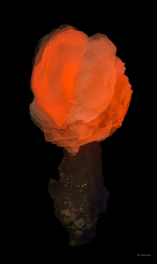 Calcite (Var. Manganoan) on Quartz image
