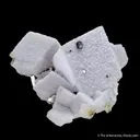 Calcite var. Manganoan & Pyrite - image 2