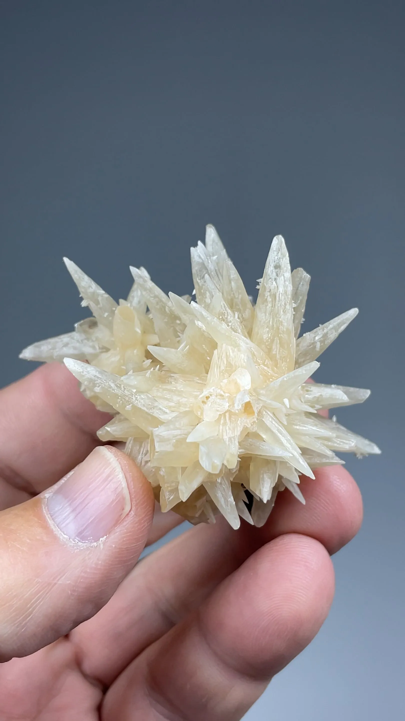 Calcite with Alstonite, Fluorite - image 2