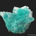 Calcite with Aurichalcite inclusions - image 3