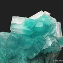 Calcite with Aurichalcite inclusions - image 5