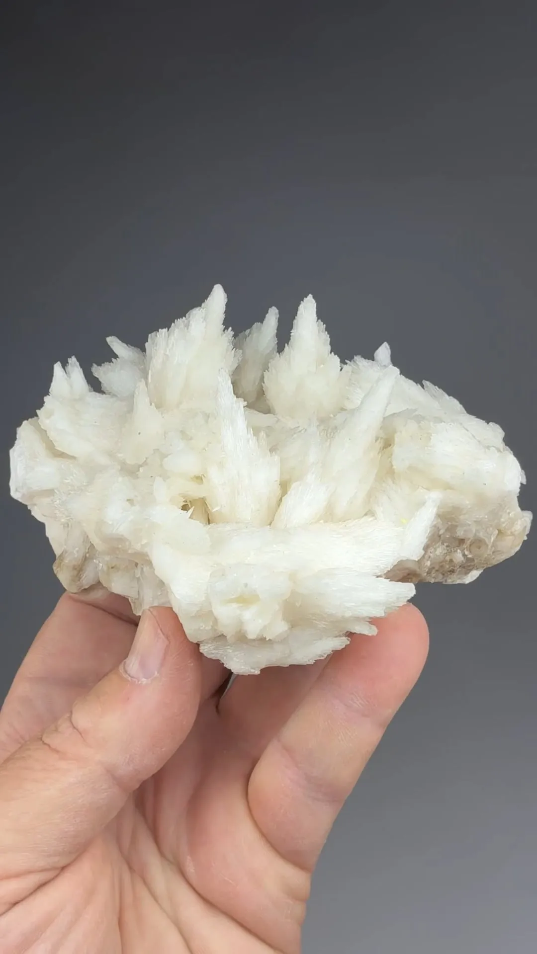 Calcite with Barite - image 2