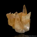 Calcite with Butterfly Twin (famous find) - image 2