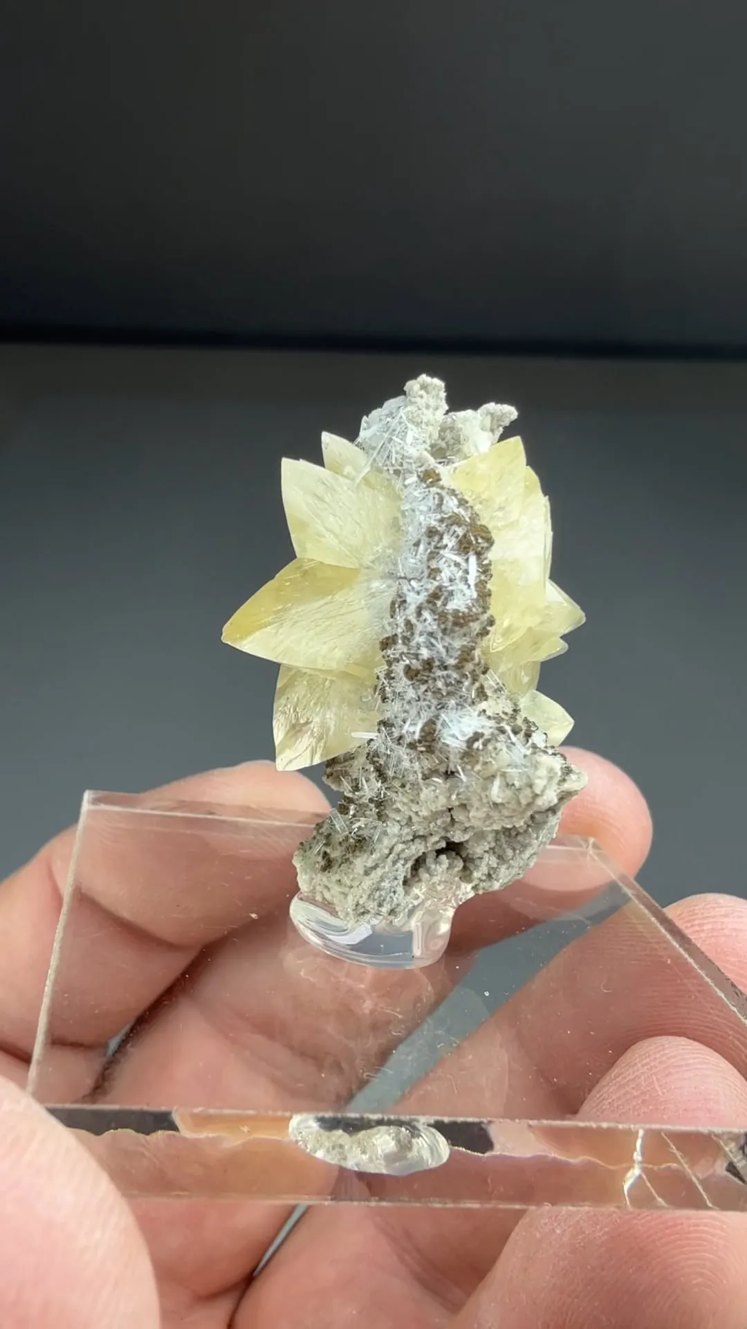 Calcite with Celestine (1940) - image 2