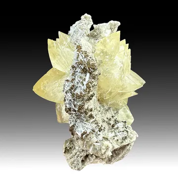 Calcite with Celestine (1940)