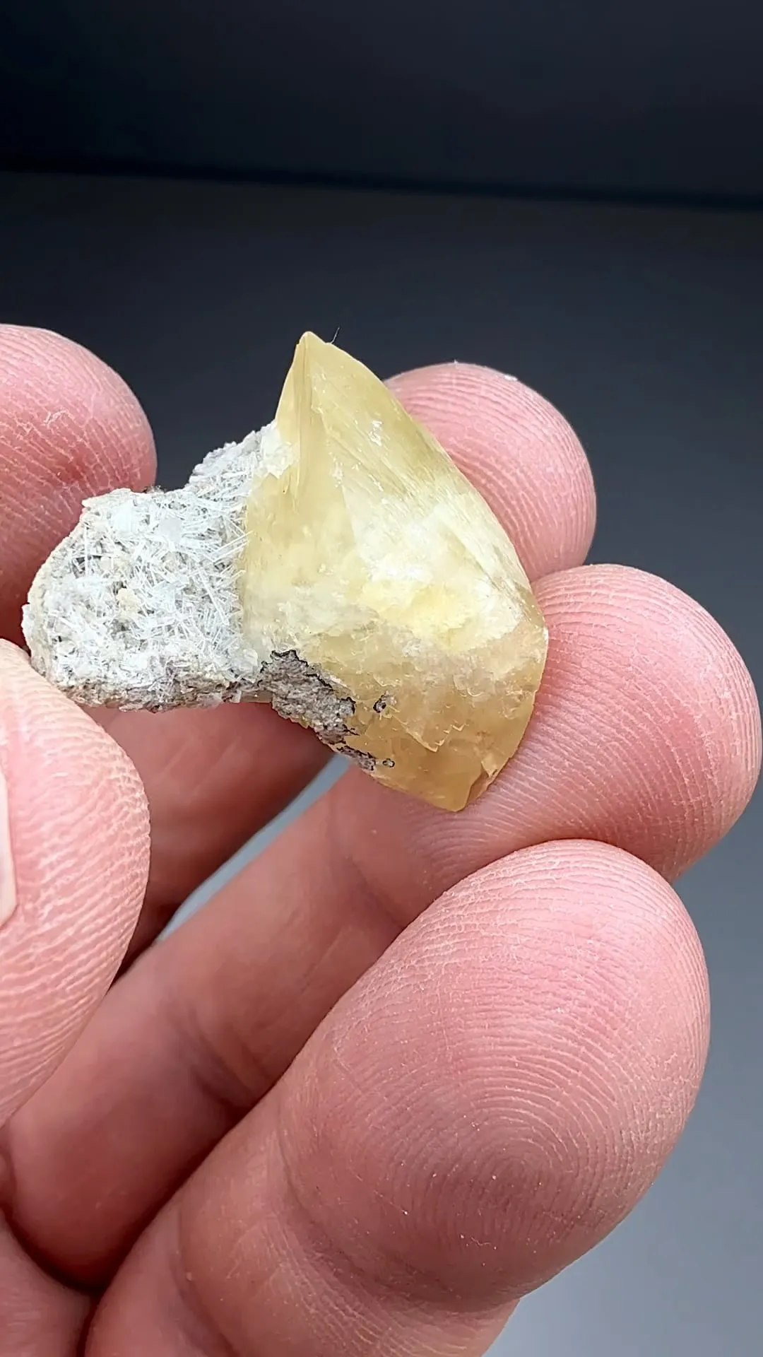 Calcite with Celestine (1943) - image 2