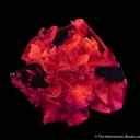 Calcite with Chalcopyrite - image 3