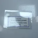 Calcite with Clam mercenaria permagna (1311) - image 2