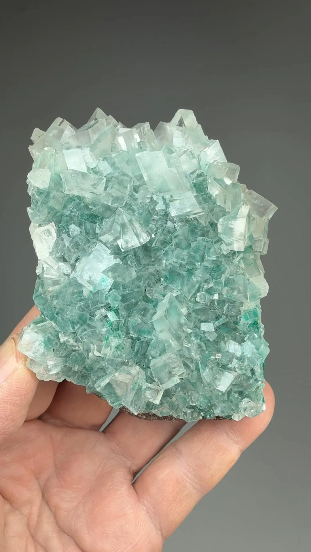 Calcite with Dioptase - image 2