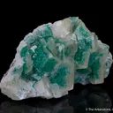Calcite with Dioptase Inclusions - image 6