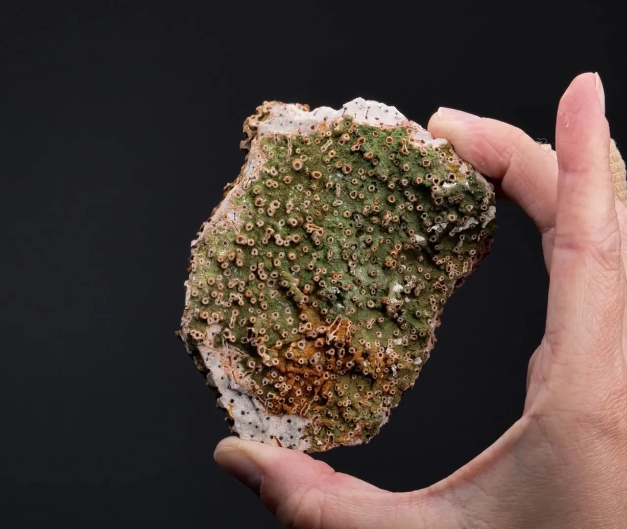 Calcite with Duftite - image 2