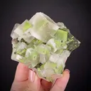 Calcite with Duftite & Hematite phantoms - image 2
