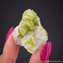 Calcite with Duftite Inclusions - image 2