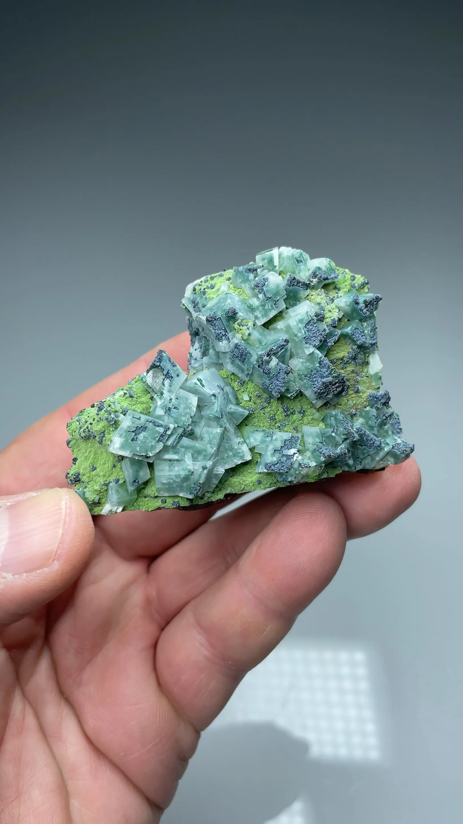Calcite with Duftite, Mottramite - image 2