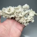 Calcite with Fluorite - image 2