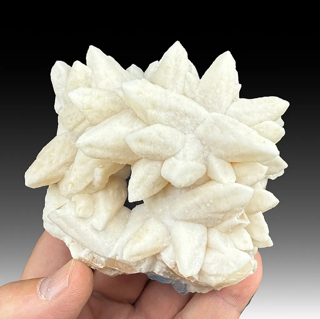 Calcite with Fluorite image