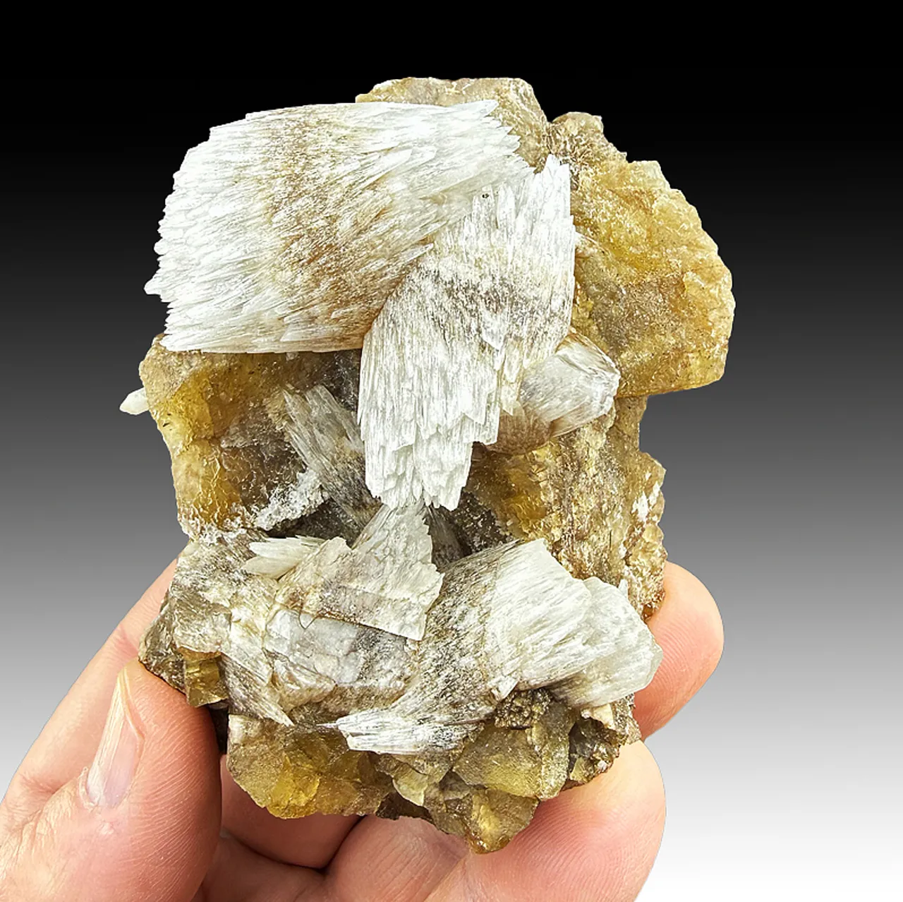 Calcite with Fluorite - image 1