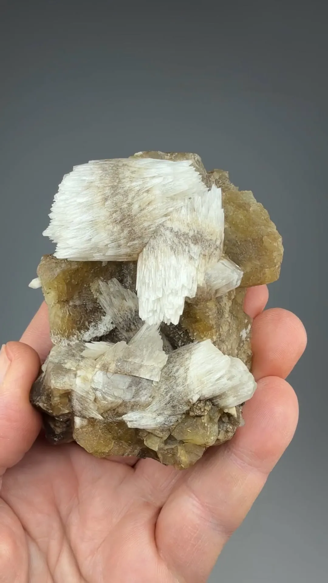 Calcite with Fluorite - image 2