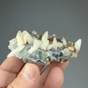 Calcite with Fluorite - image 2
