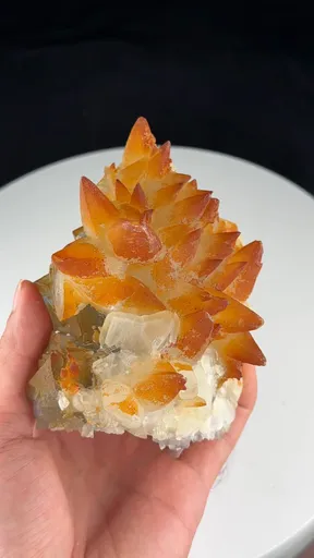 specimen video