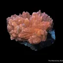 Calcite with Fluorite and Sphalerite - image 7