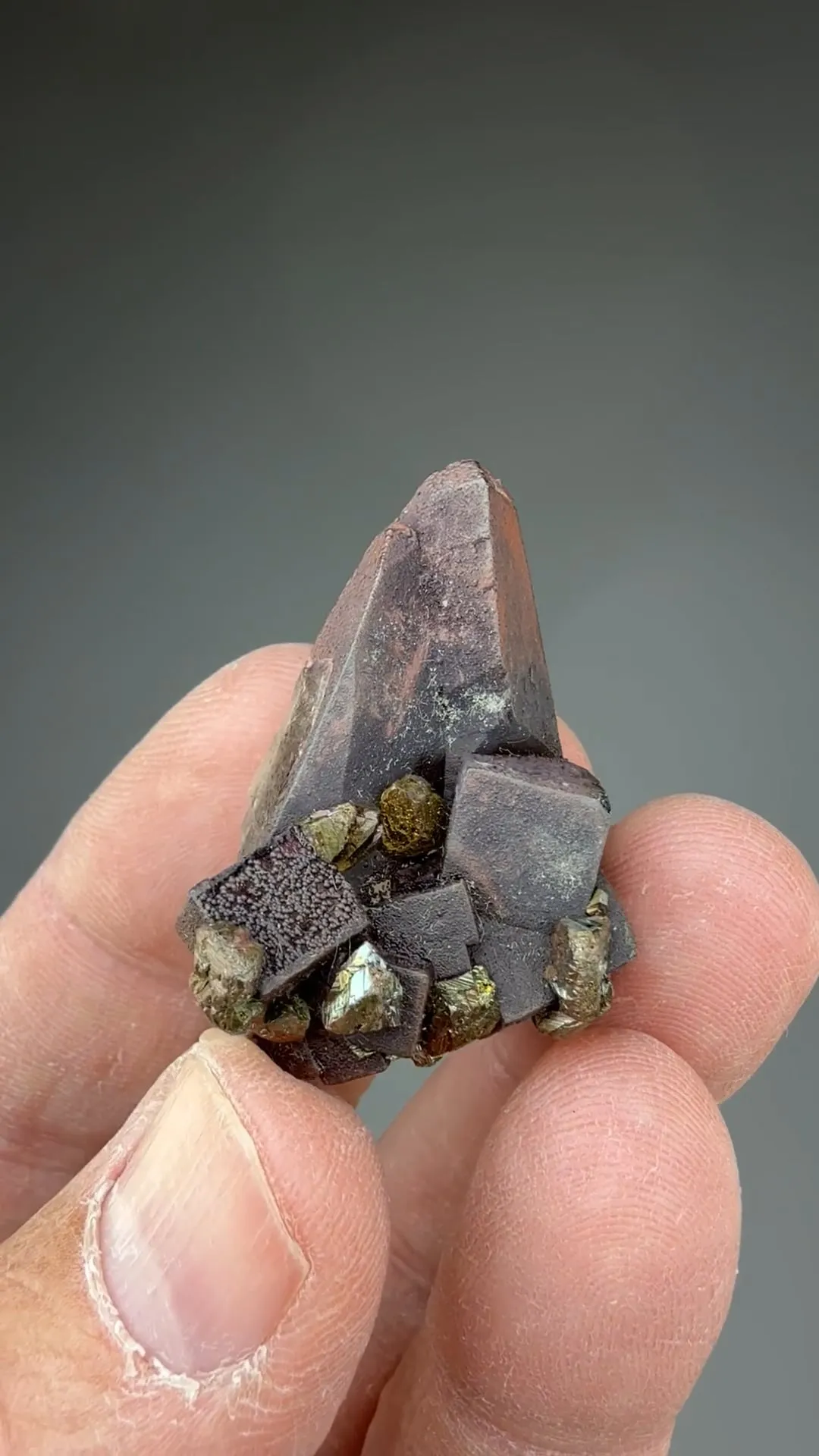 Calcite with Fluorite, Hematite, Chalcopyrite - image 2
