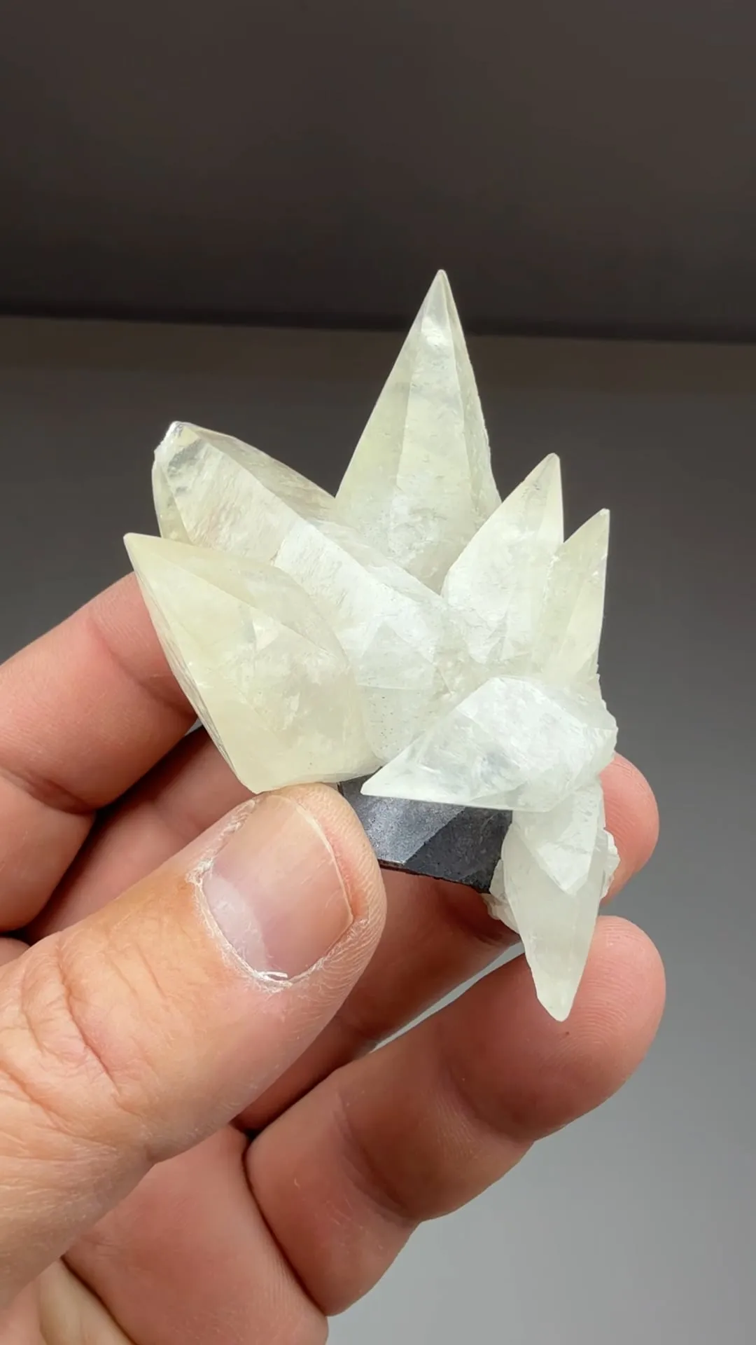 Calcite with Galena - image 2