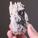 Calcite with Galena - image 2