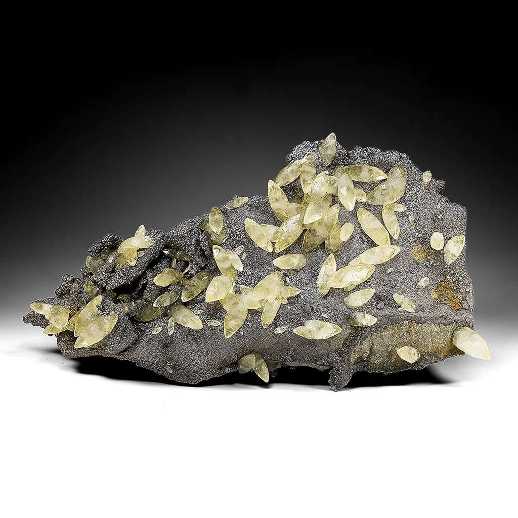 Calcite with Galena, Pyrite image