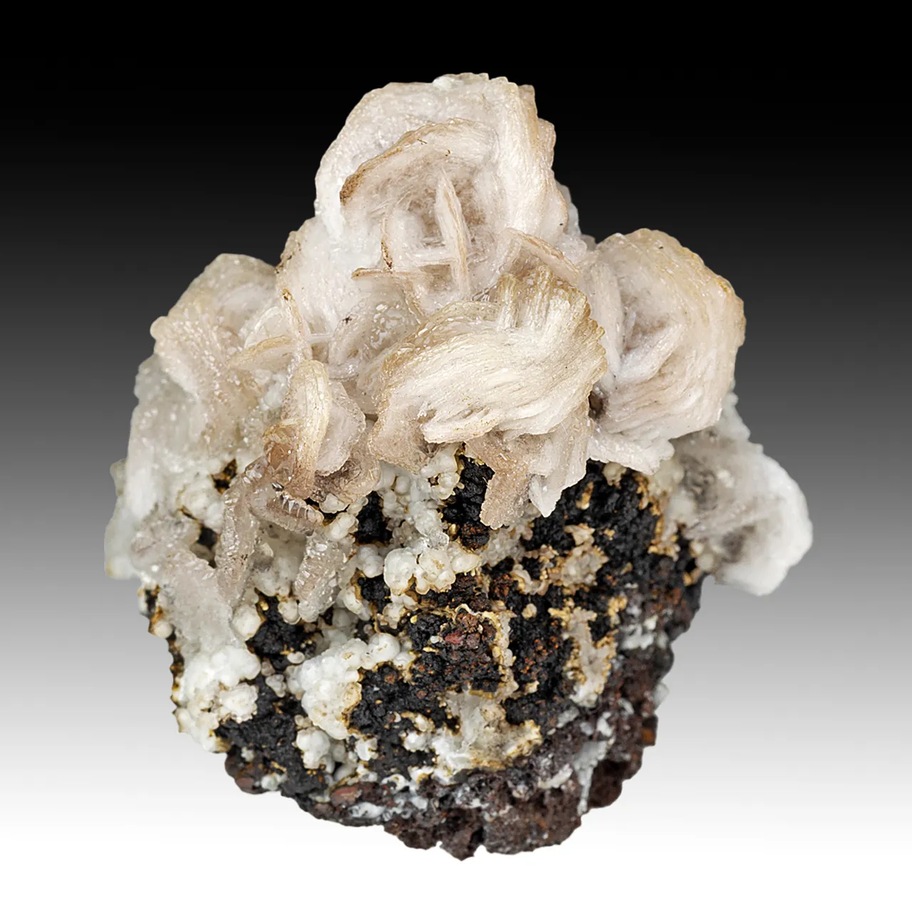 Calcite with Goethite - image 1