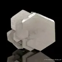 Calcite with Hedenbergite incl. - image 1