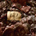 Calcite With Hematite Inclusions - image 4