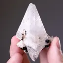 Calcite with Ilvaite - image 2