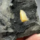 Calcite with Julgoldite - image 2