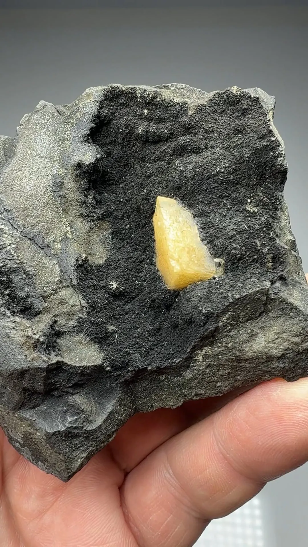 Calcite with Julgoldite - image 2