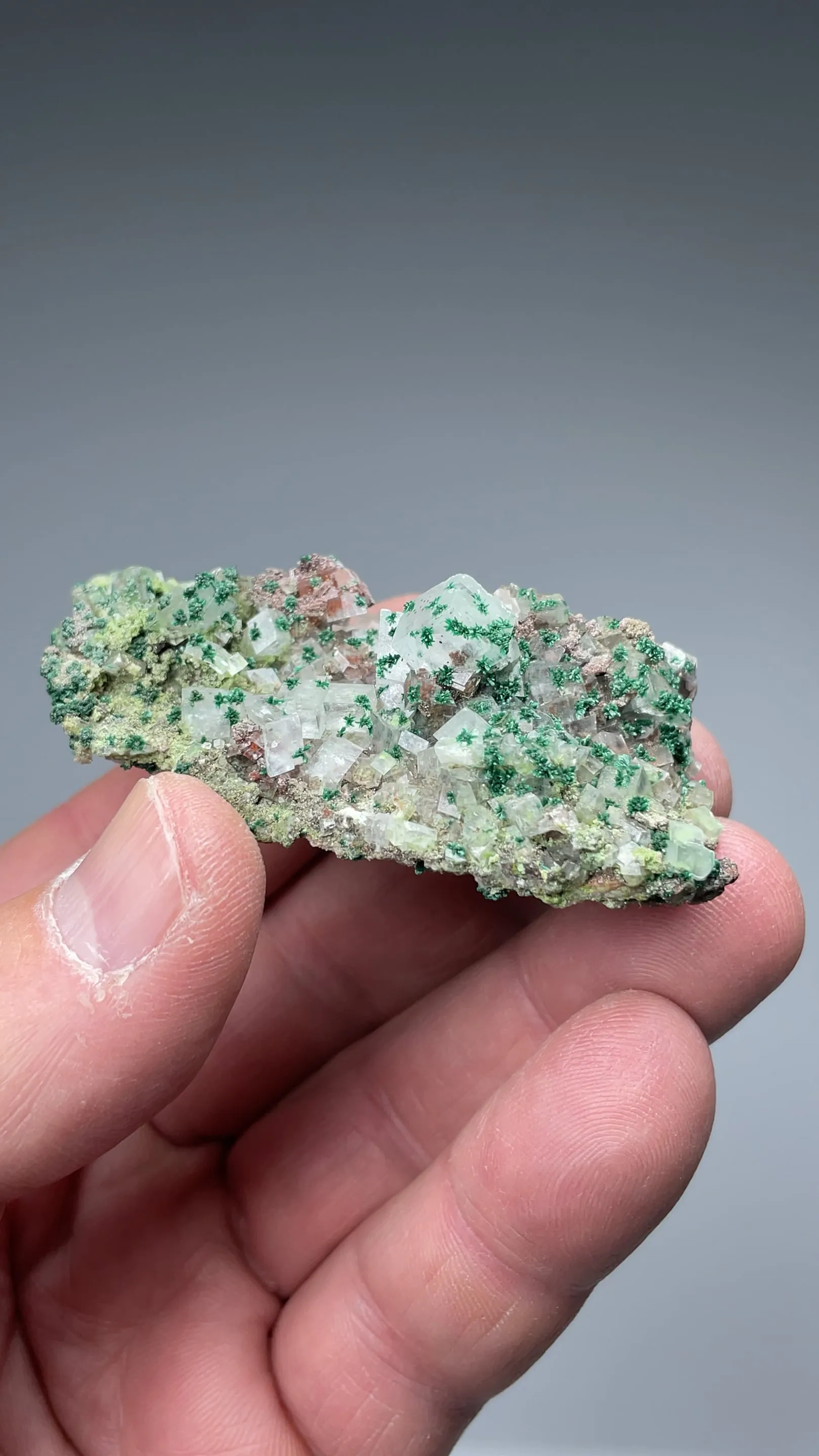 Calcite with Malachite, Duftite - image 2