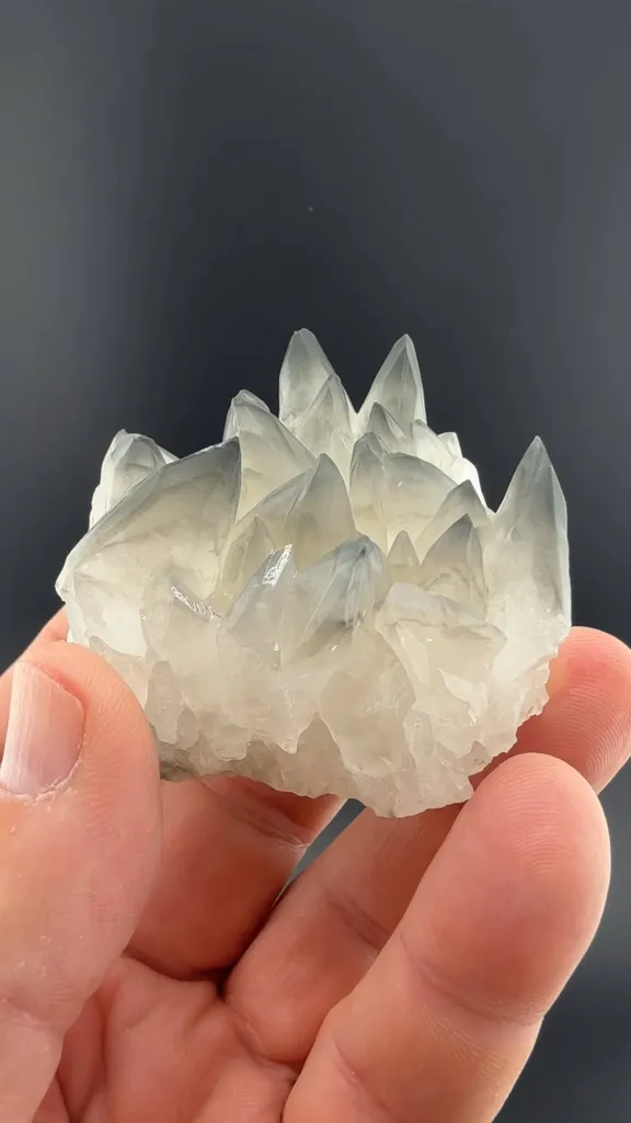 Calcite with Marcasite image