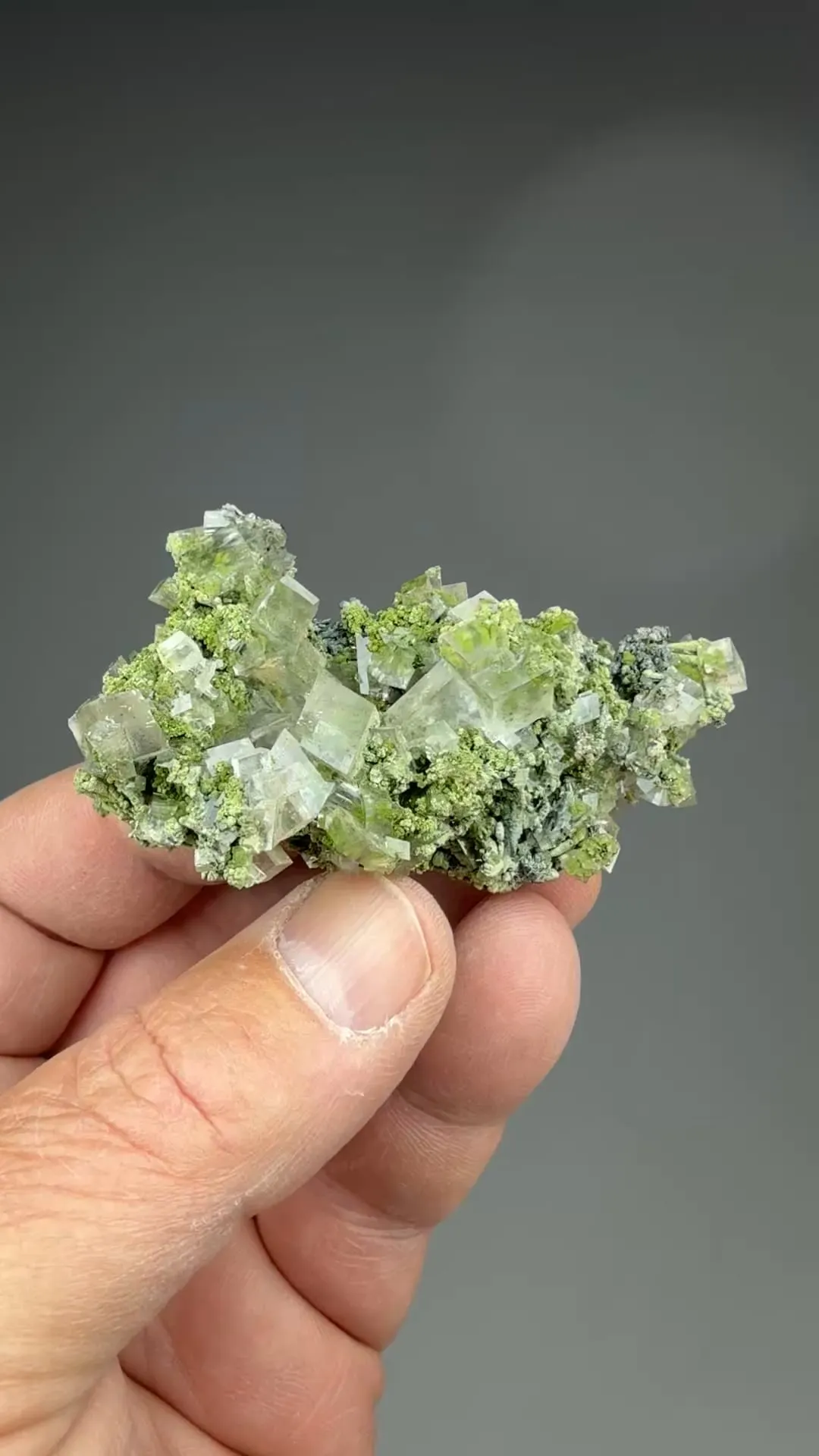 Calcite with Mottramite - image 2