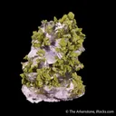 Calcite with Mottramite - image 1