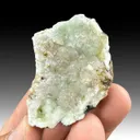 Calcite with Prehnite - image 1