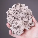 Calcite with Pyrite - image 2