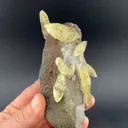 Calcite with Pyrite - image 1