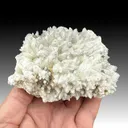 Calcite with Pyrite - image 1