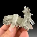 Calcite with Pyrite - image 1