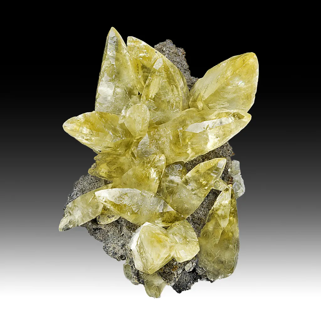 Calcite with Pyrite image
