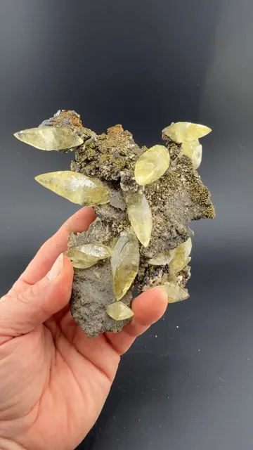 Calcite with Pyrite